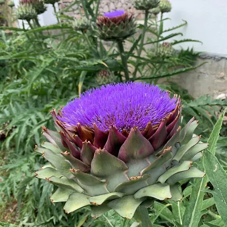 Διαμέρισμα Amazing Sea View *