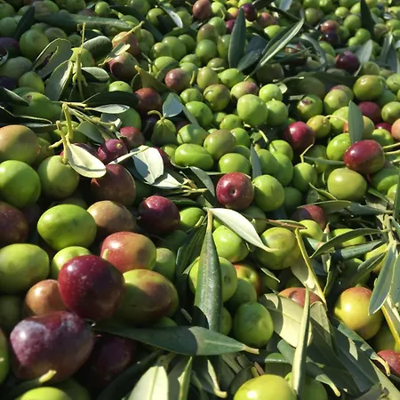 Amazing Sea View Apartamento