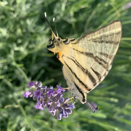 Amazing Sea View * Tisno