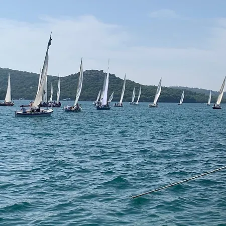 Amazing Sea View Διαμέρισμα Tisno