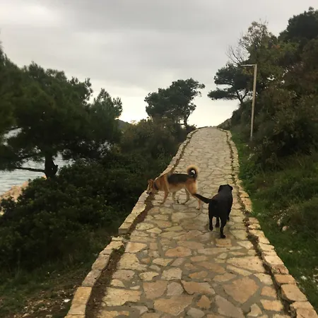 Διαμέρισμα Amazing Sea View *