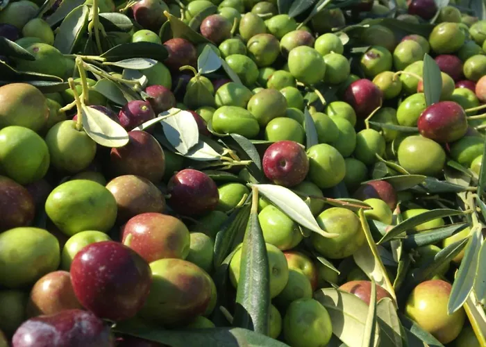 Amazing Sea View Apartman