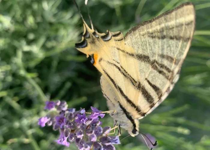 Amazing Sea View * Tisno