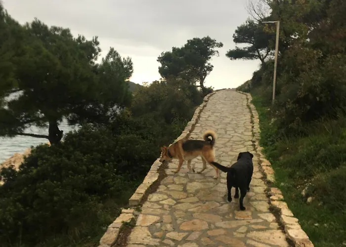 Apartman Amazing Sea View *